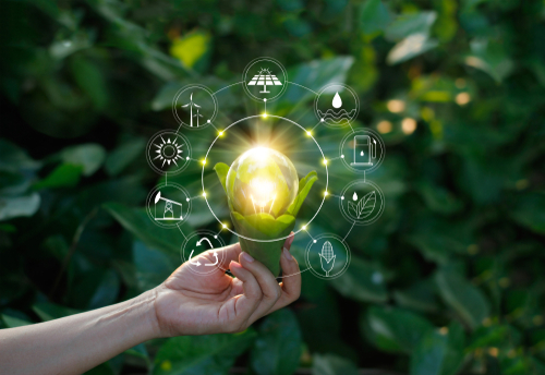 Photo by PopTika showing a light bulb and green energy icons; licensed from https://www.shutterstock.com/de/image-photo/hand-holding-light-bulb-against-nature-767486674