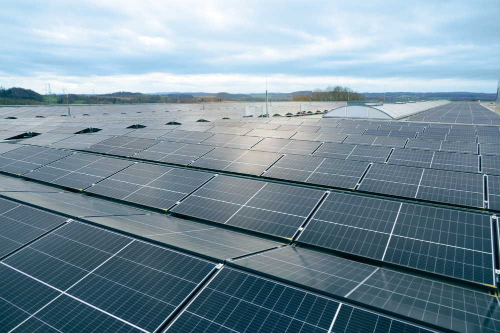 PV panels on a roof