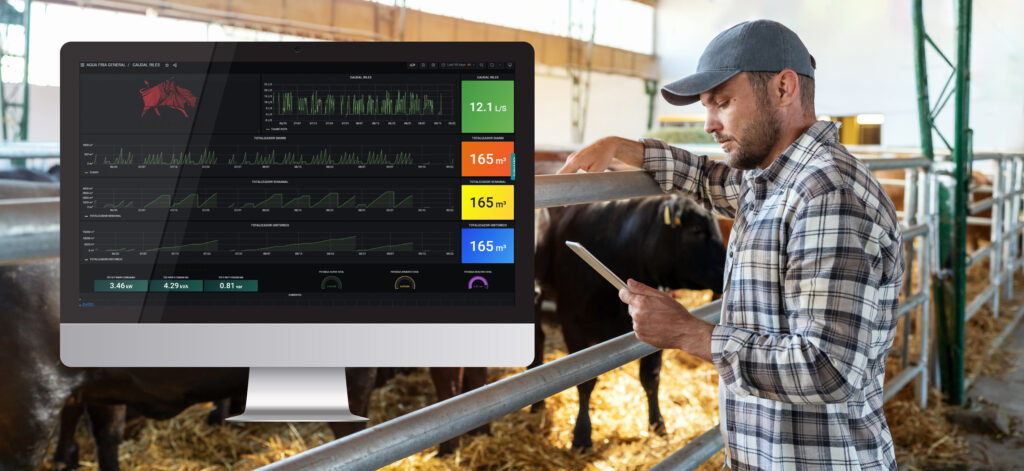 A Frigosorno employee monitors real-time consumption data on a tablet and a large screen in a cattle barn using Proficloud.io's visualization dashboard.