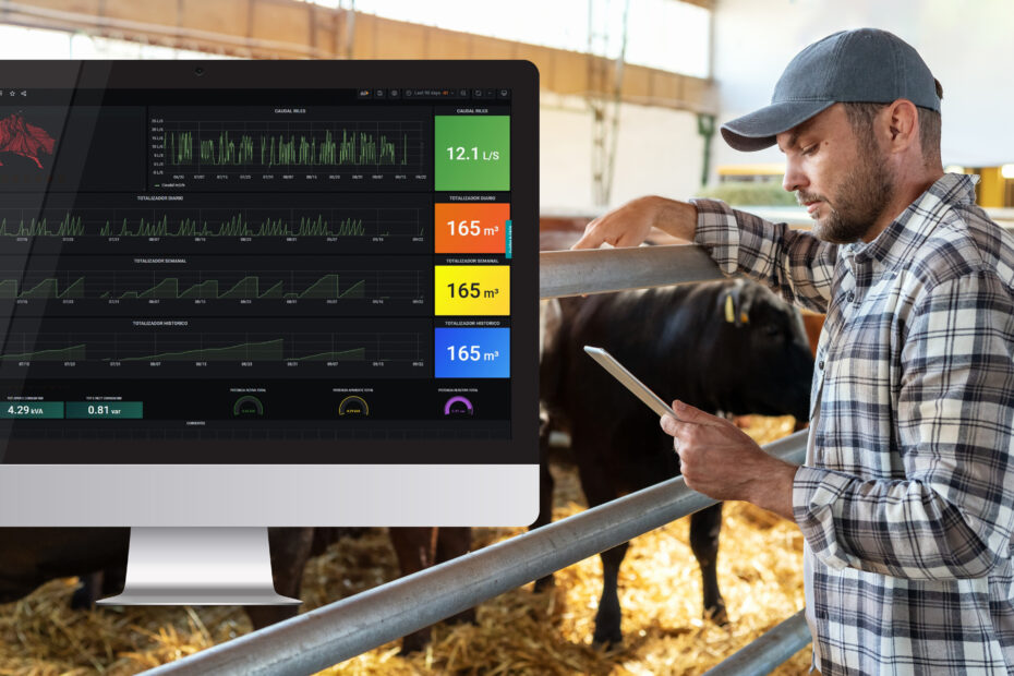 A Frigosorno employee monitors real-time consumption data on a tablet and a large screen in a cattle barn using Proficloud.io's visualization dashboard.